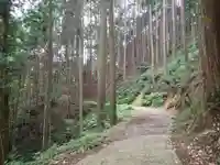 天乃石立神社の自然