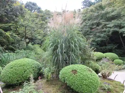 詩仙堂（丈山寺）の庭園