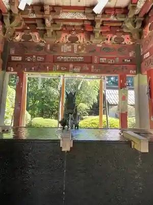 北口本宮冨士浅間神社の手水舎