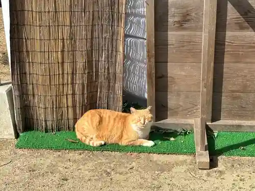 縣主神社(岡山県)