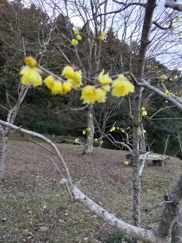 天澤院の庭園