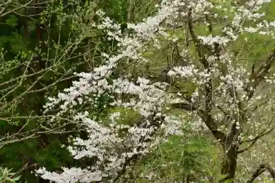 妙龍神社(新潟県)