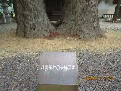 飯豊和気神社の自然