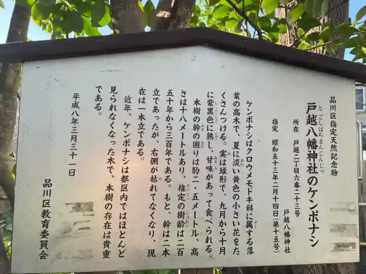 戸越八幡神社(東京都)