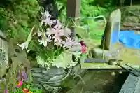 竹之高地不動社(新潟県)