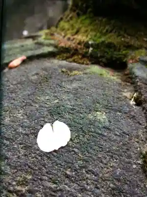 小野照崎神社(東京都)