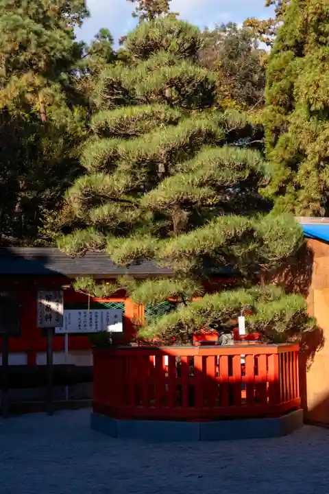 香椎宮(福岡県)