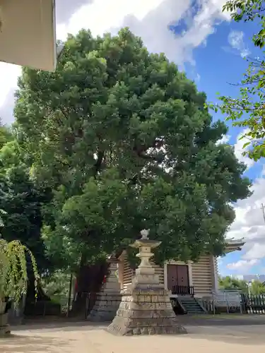 諏訪神社(東京都)