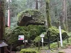 戸隠神社の自然