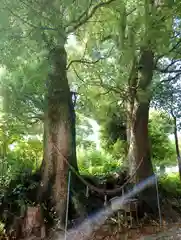 細江神社(静岡県)