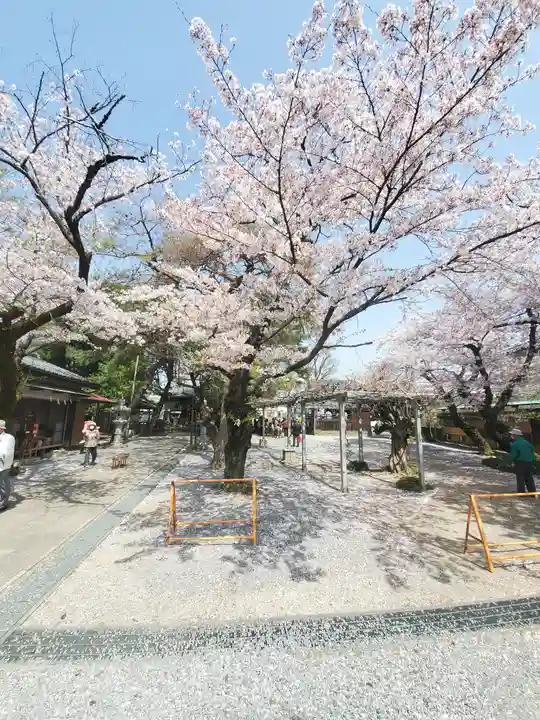 日限富士浅間神社の自然