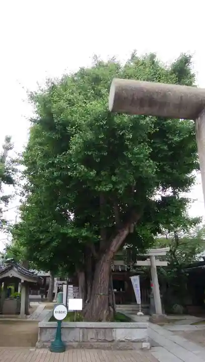飛木稲荷神社のその他建物