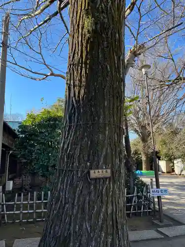 最勝寺教学院(東京都)