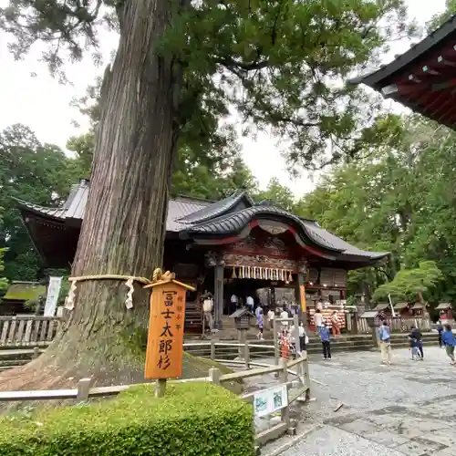 北口本宮冨士浅間神社の本殿・本堂