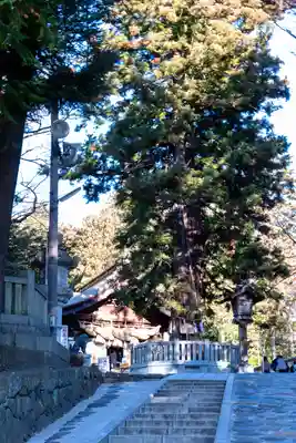 諏訪大社下社秋宮(長野県)