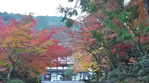 南禅寺の庭園