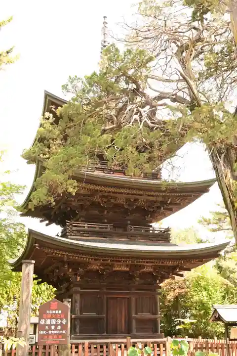 信濃國分寺(長野県)