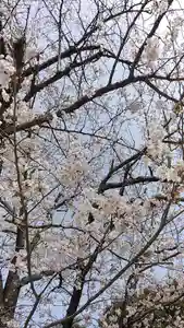 比佐豆知神社(三重県)(2023年03月27日(月) 12時12分56秒投稿)