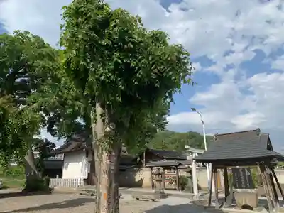 大手神社のその他建物