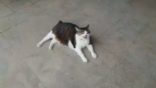 山梨縣護國神社(山梨県)