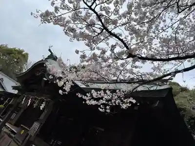 畑子安神社(千葉県)