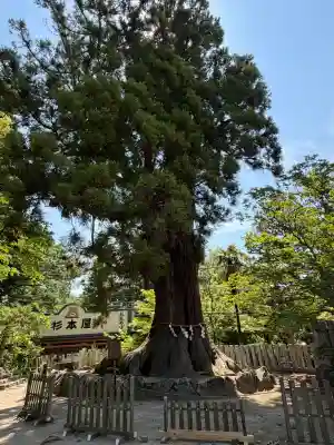 筑波山神社の{uncategorized: "未分類", other: "その他", undefined: "問題あり", building: "その他建物", grave: "お墓", sacred_gate: "鳥居", guardian: "狛犬", statue: "像", buddha: "仏像", history: "歴史", nature: "自然", garden: "庭園", animal: "動物", pagoda: "塔", temizu: "手水舎", mountain_gate: "山門・神門", sanctuary: "本殿・本堂", subordinate: "末社・摂社", art: "芸術", scenery: "景色", jizo: "地蔵", ema: "絵馬", goshuin: "御朱印", omikuji: "おみくじ", items: "授与品その他", amulet: "お守り", goshuincho: "御朱印帳", eats: "食事", festival: "お祭り", votive_dance: "神楽", shichigosan: "七五三参", wedding: "結婚式", experience: "体験その他", initially: "初詣", around: "周辺", anti_infection: "感染症対策"}