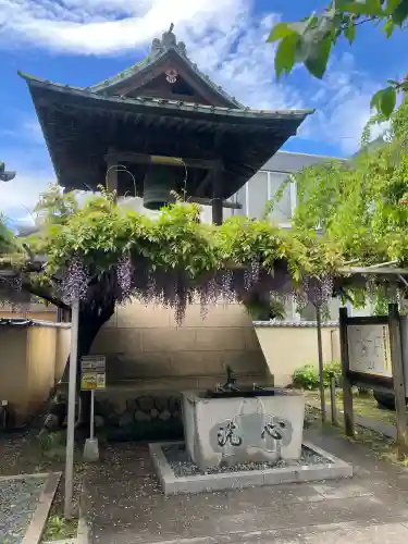 秩父札所十三番 慈眼寺の{uncategorized: "未分類", other: "その他", undefined: "問題あり", building: "その他建物", grave: "お墓", sacred_gate: "鳥居", guardian: "狛犬", statue: "像", buddha: "仏像", history: "歴史", nature: "自然", garden: "庭園", animal: "動物", pagoda: "塔", temizu: "手水舎", mountain_gate: "山門・神門", sanctuary: "本殿・本堂", subordinate: "末社・摂社", art: "芸術", scenery: "景色", jizo: "地蔵", ema: "絵馬", goshuin: "御朱印", omikuji: "おみくじ", items: "授与品その他", amulet: "お守り", goshuincho: "御朱印帳", eats: "食事", festival: "お祭り", votive_dance: "神楽", shichigosan: "七五三参", wedding: "結婚式", experience: "体験その他", initially: "初詣", around: "周辺", anti_infection: "感染症対策"}