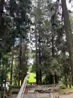 大宮温泉神社(栃木県)