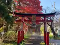 大星神社の鳥居