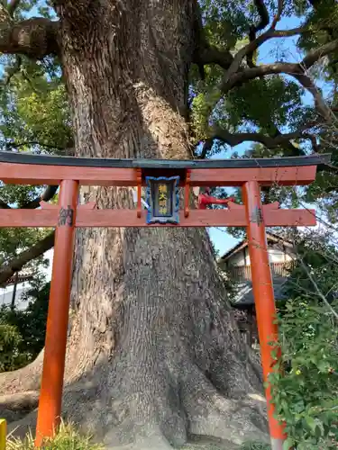 法楽寺(大阪府)