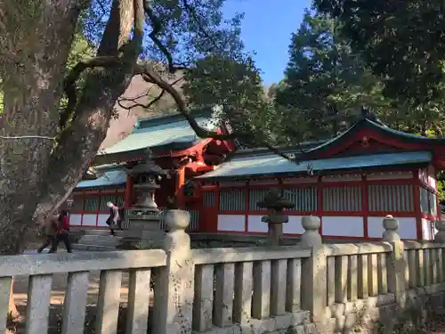 神谷神社の本殿・本堂