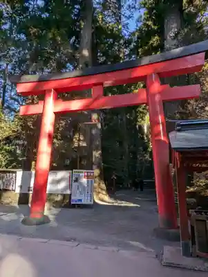 箱根神社(神奈川県)