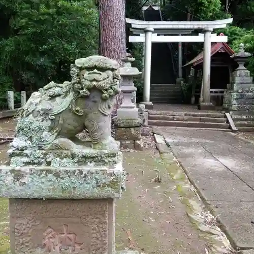 素鵞熊野神社の狛犬