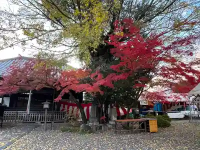大報恩寺（千本釈迦堂）(京都府)