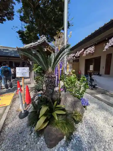 蛇窪神社(東京都)
