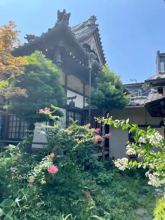 善性寺(神奈川県)