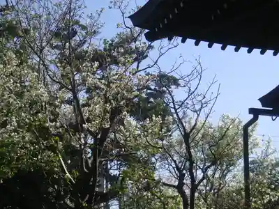 教恩寺のその他建物