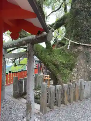 熊野那智大社(和歌山県)
