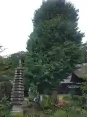 横浜　西方寺の塔