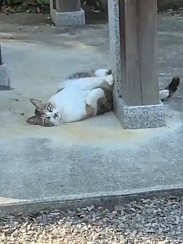 玉野御嶽神社の動物