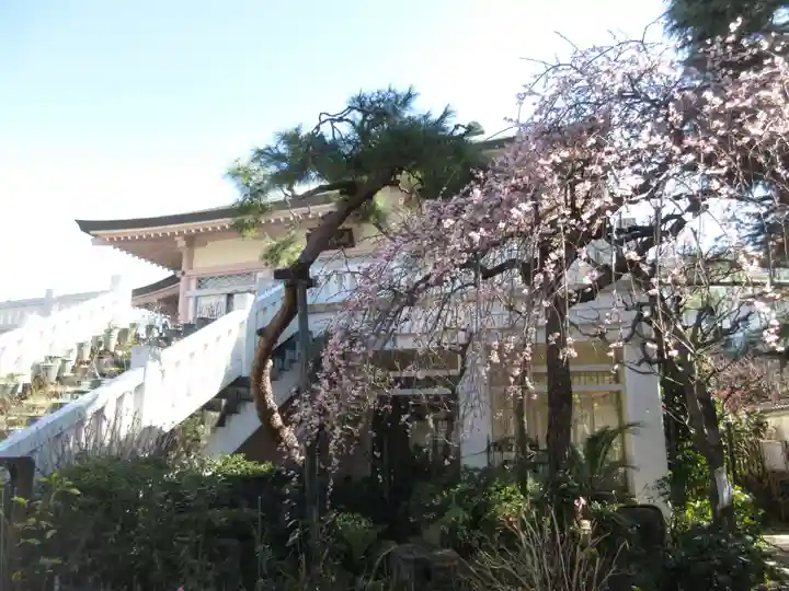 薬師寺 南蔵院 (東京都)