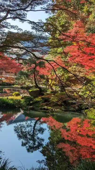 くろ谷 金戒光明寺(京都府)