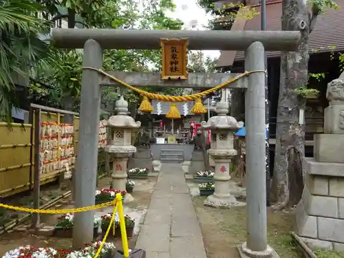 高円寺氷川神社の鳥居