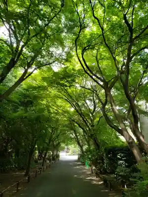 高円寺のその他建物