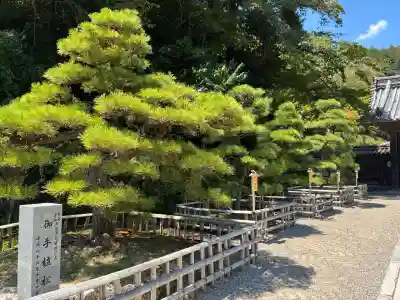 長谷寺(奈良県)