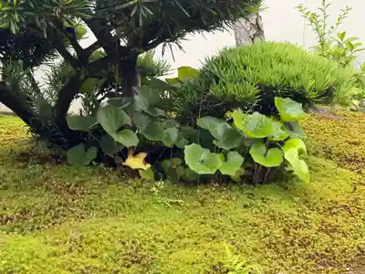 西方山極楽寺(岐阜県)