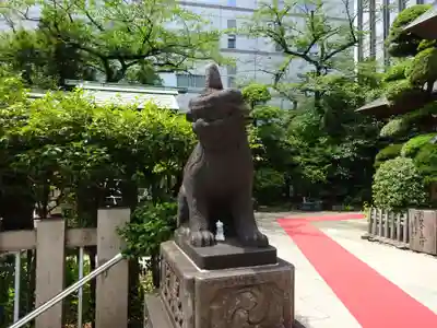 芝大神宮の狛犬