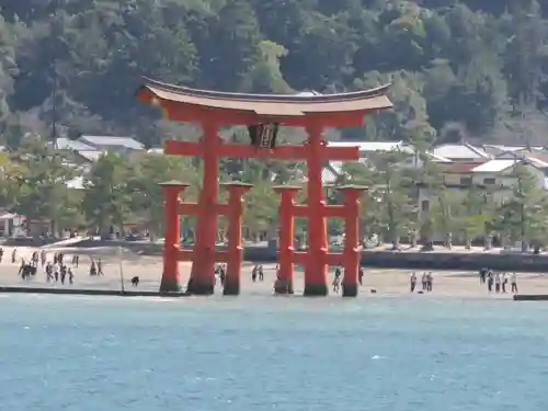 厳島神社の鳥居