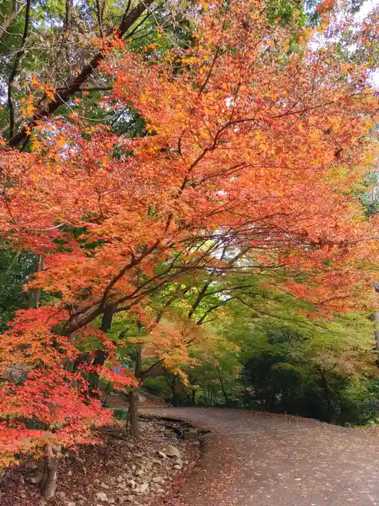 萬寿寺(お不動さん)の自然