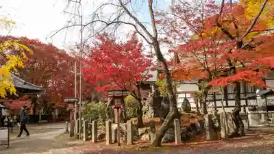 松ヶ崎大黒天 妙圓寺（妙円寺）(京都府)